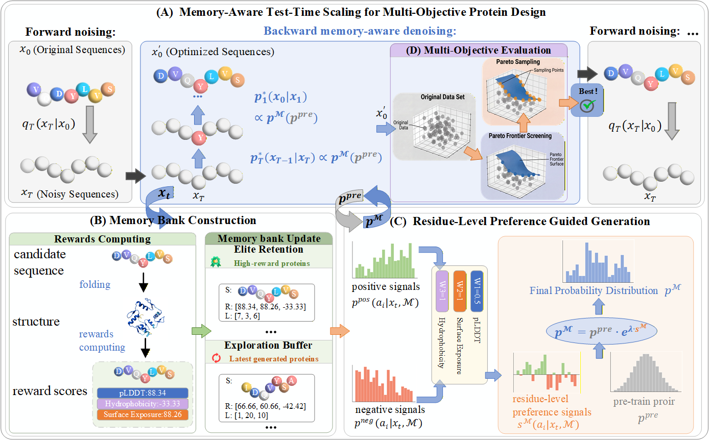 Memory-aware test-time scaling protein design visual abstract